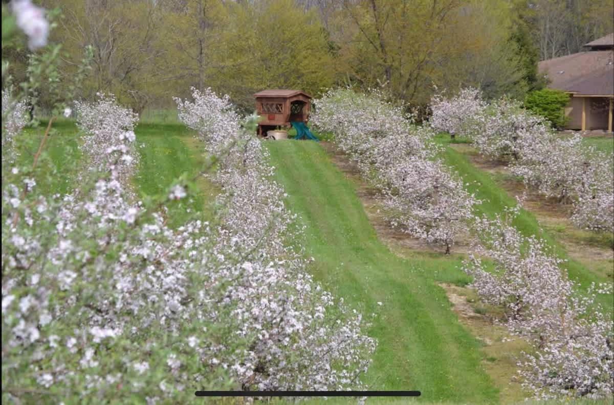 The Cortland Cottage At Brant'S Apple Orchard Ashtabula Buitenkant foto