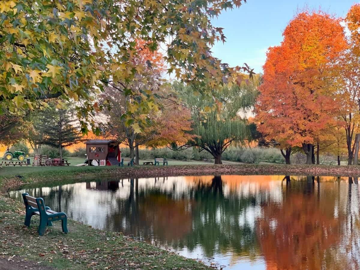The Cortland Cottage At Brant'S Apple Orchard Ashtabula Buitenkant foto